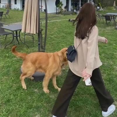 女人的一生封面